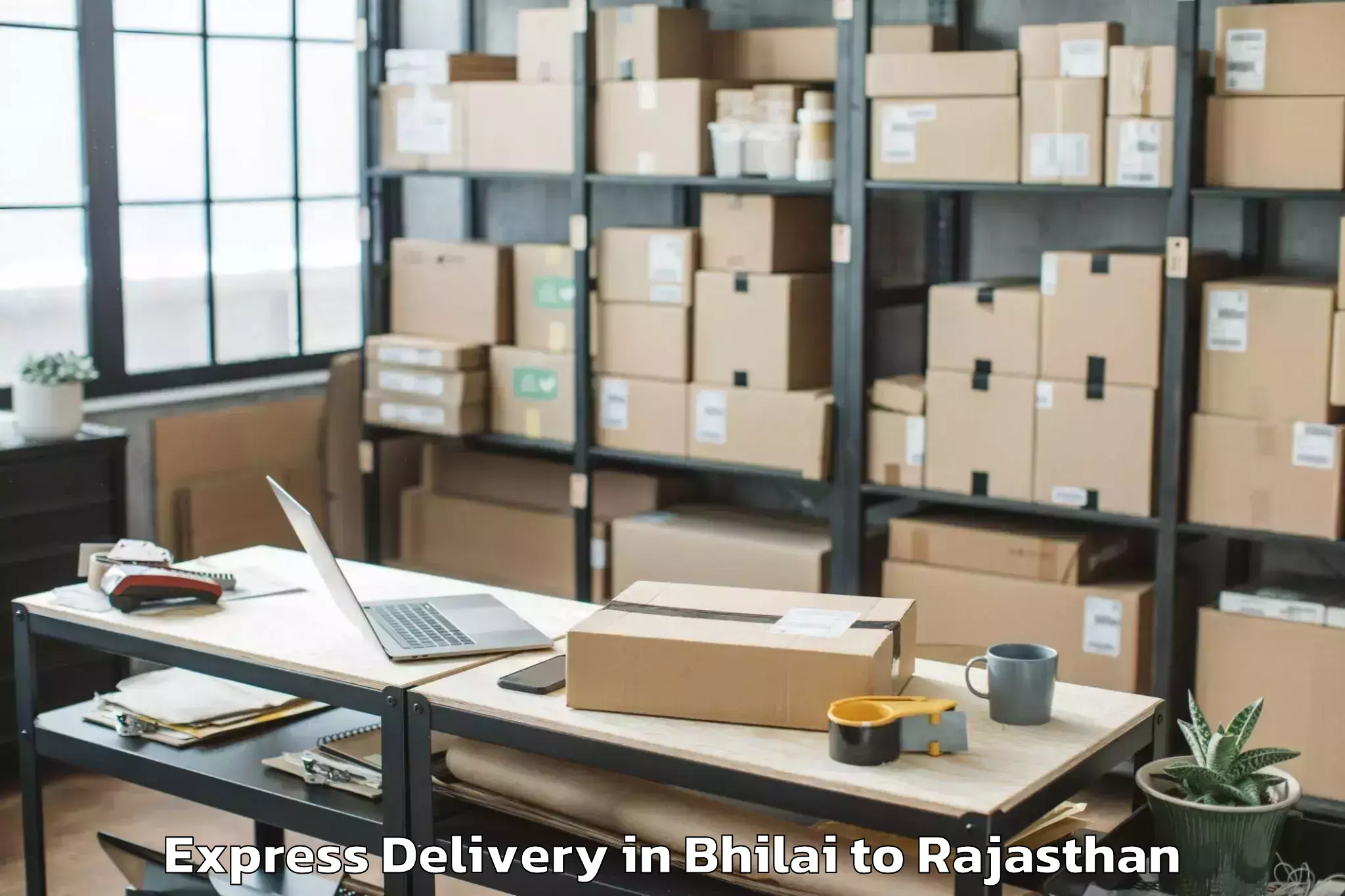 Hassle-Free Bhilai to Udaipurwati Express Delivery